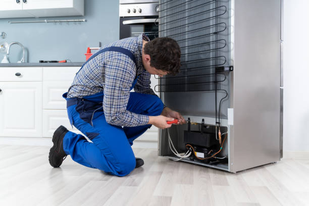 Servizio di assistenza professionale per elettrodomestici a Leggiuno 